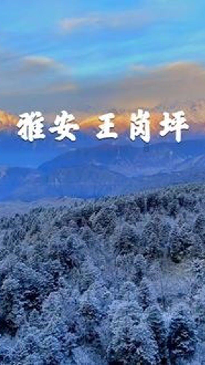 逃离废弃的卡车场