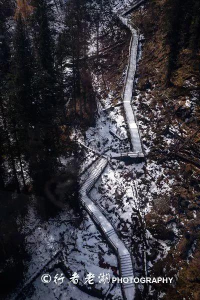 诱捕小浣熊